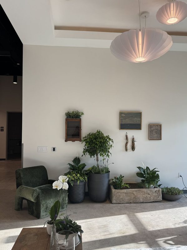 Honor Pet Comfort Center interior